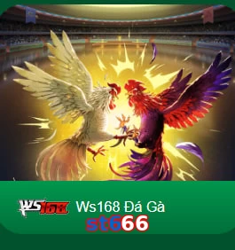 st666